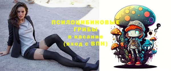 эйфоретик Алексин