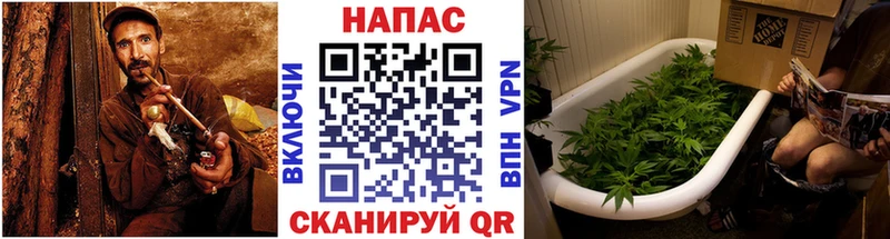 наркотики  Волхов  МАРИХУАНА марихуана 
